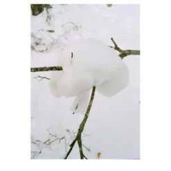 Stampa fotografica Neve
