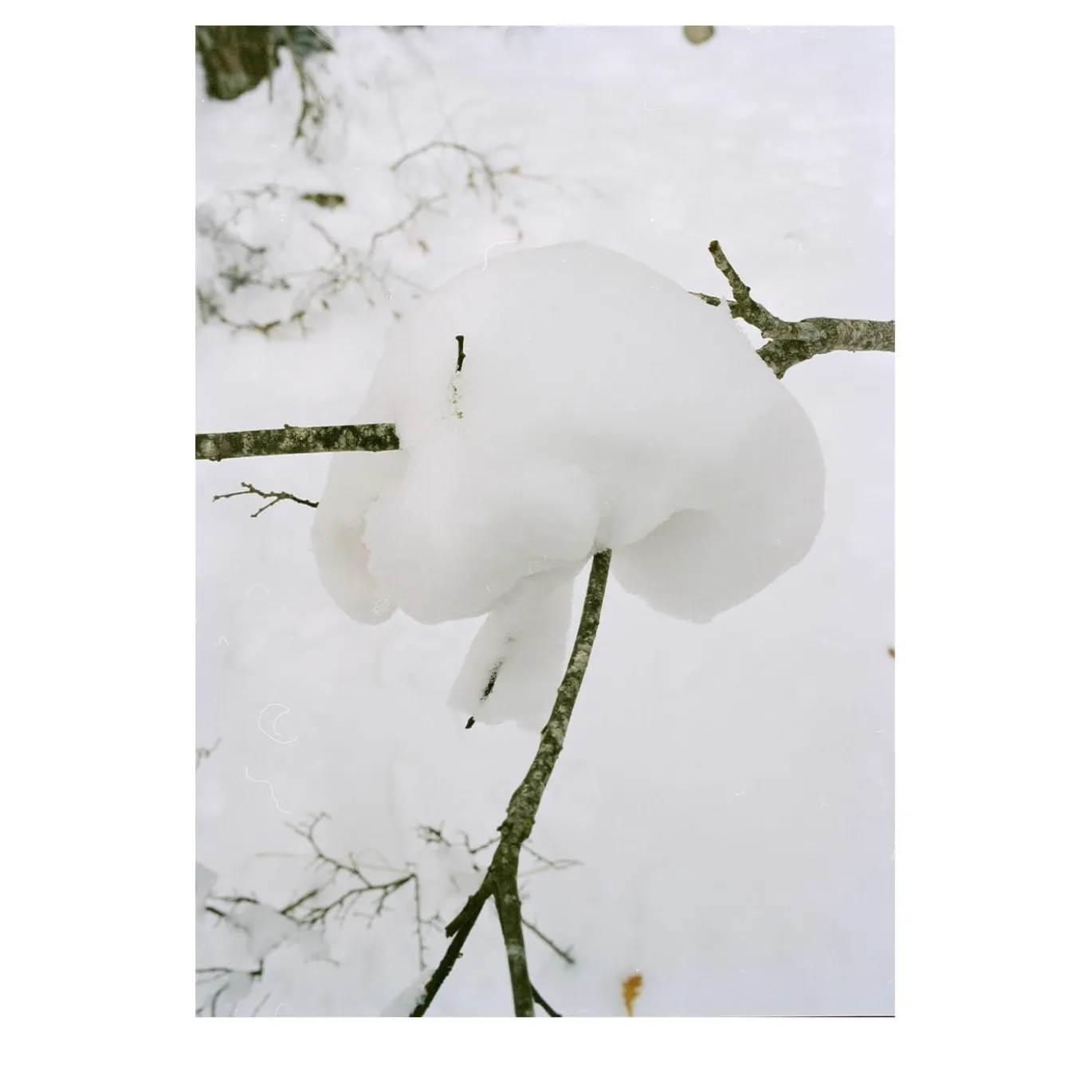Stampa fotografica Neve
