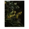 Stampa fotografica Piccolo Paesaggio con Orchidee Gialle