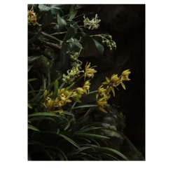 Stampa fotografica Piccolo Paesaggio con Orchidee Gialle