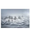 Stampa fotografica sulle dune di neve
