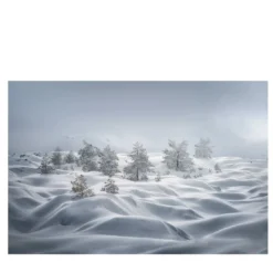 Stampa fotografica sulle dune di neve