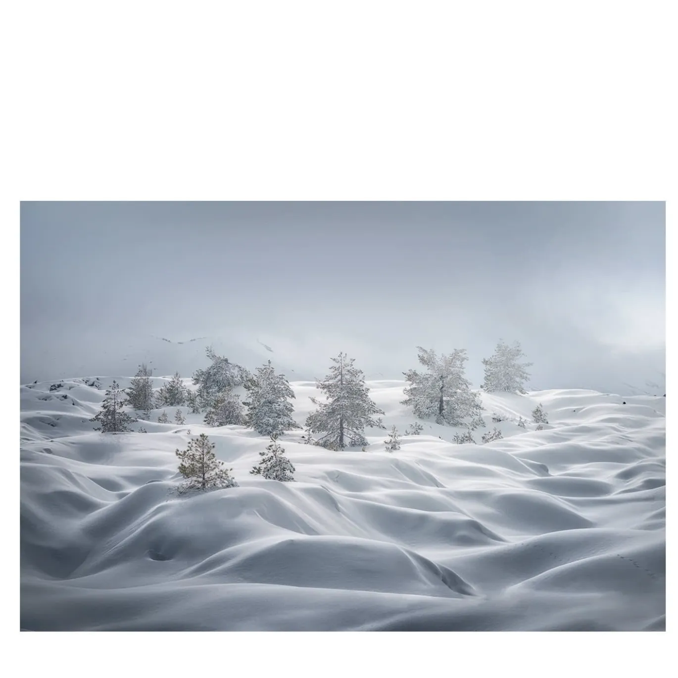 Stampa fotografica sulle dune di neve