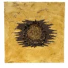 Supernova Pittura Astratta