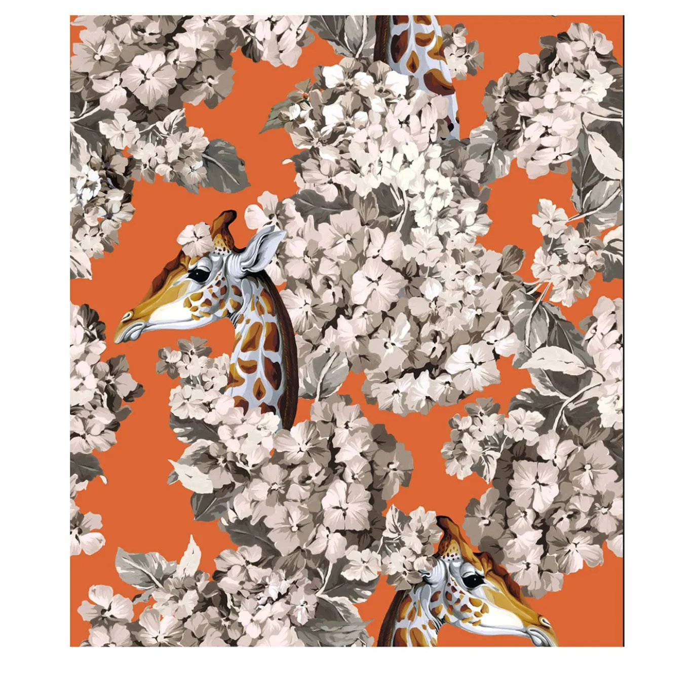 The Hortense Dream Orange Les Jardins Imaginaires