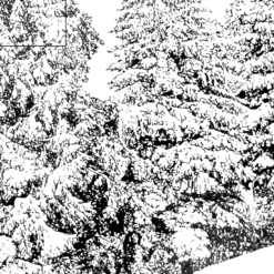 Todnaugerg, Disegno di Heidegger