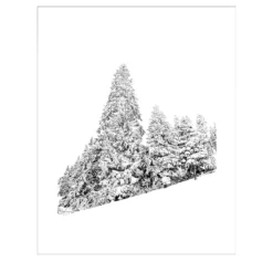 Todnaugerg, Disegno di Heidegger