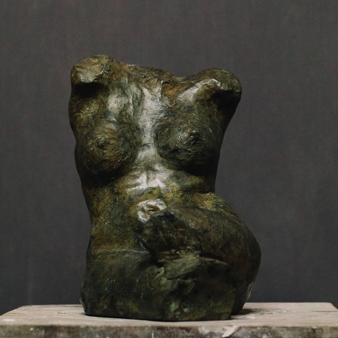 Torso di Fauna