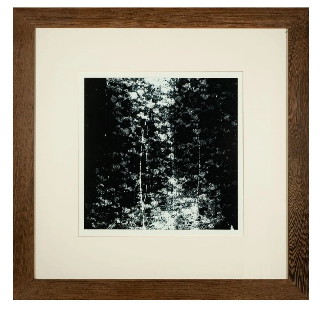 Trame Svelate Serigrafia #2