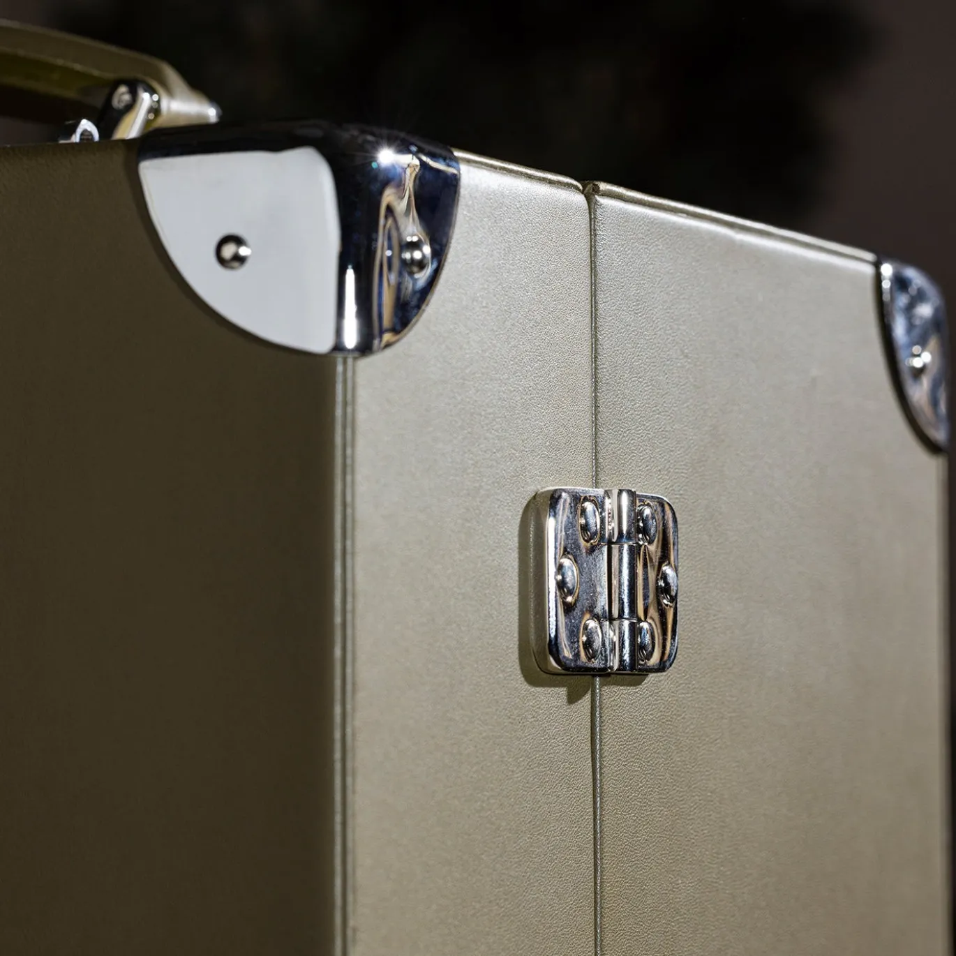 Trunk per Orologi Geneve in Pelle Verde