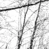 Valle innevata, Morterone Disegno