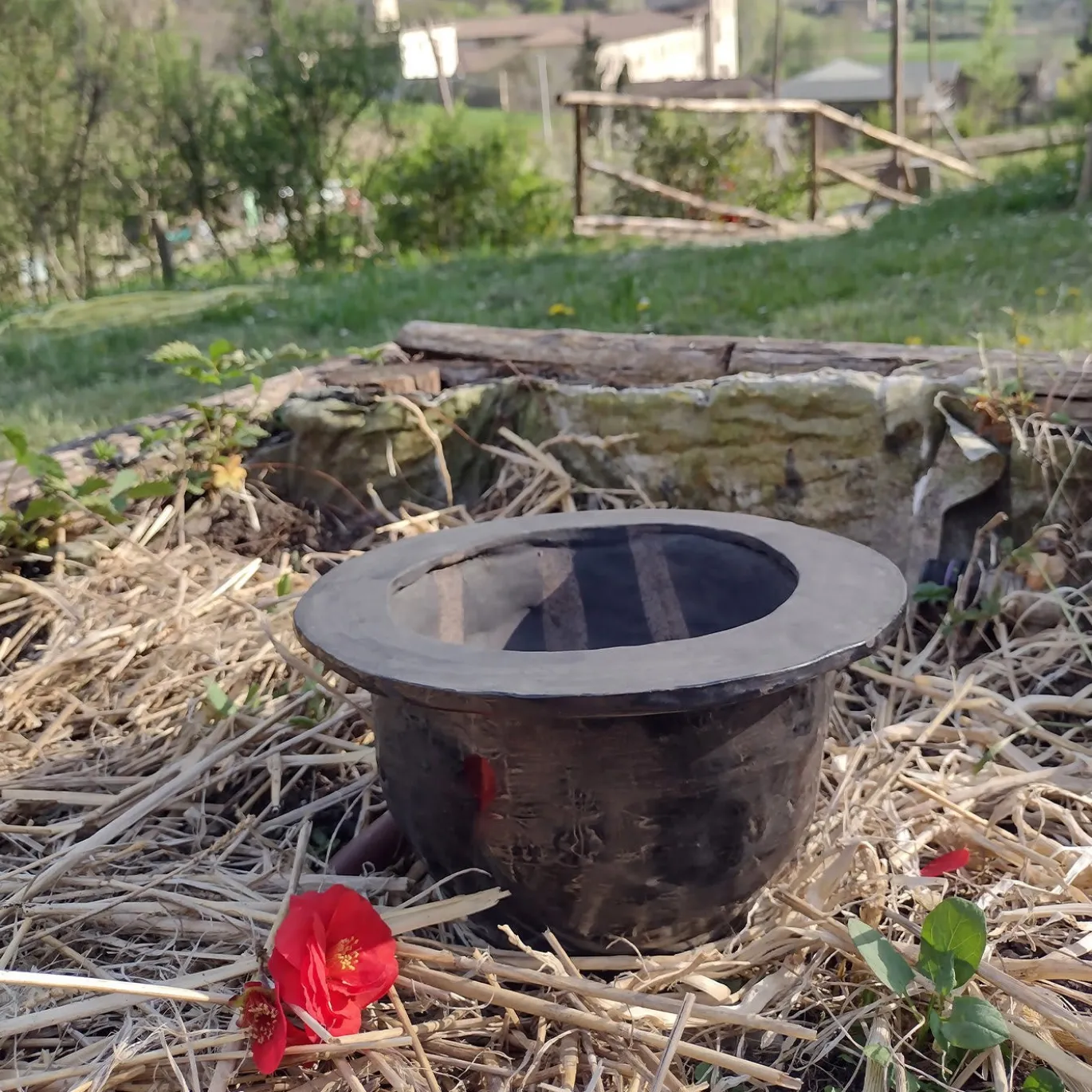 Vaso nero Kotylai