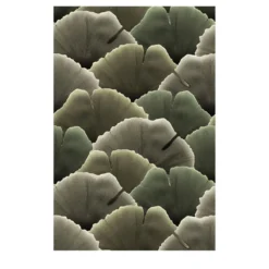 Winter Biloba Facade 22 Carta per esterno