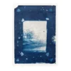 Winter Garden Cyanotype su carta